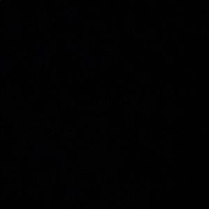 Meet your Posher, Patrice